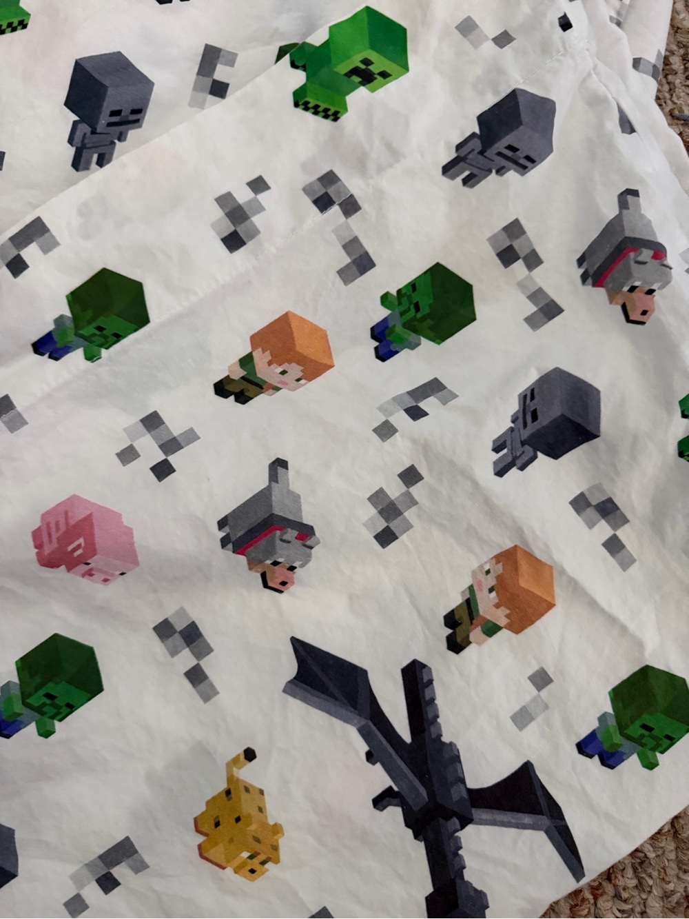 EUC Pottery Barn Kids Minecraft Organic Sheet Set Twin - Picture 3 of 9